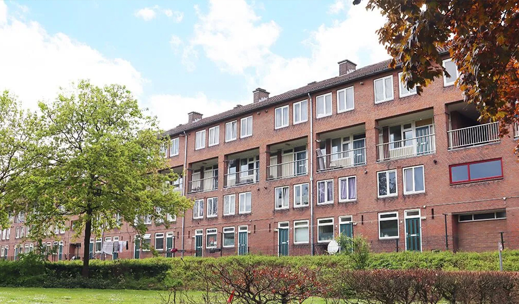 VPS guardian converted rental property